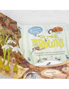 Opowiem Ci Mamo - Co robią mrówki 2