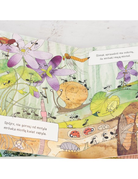 Opowiem Ci Mamo - Co robią mrówki