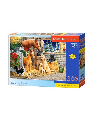 Castorland Puzzle - Gathering Friends