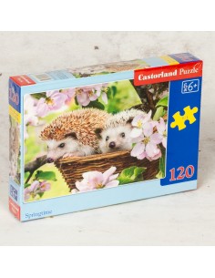 Castorland Puzzle - Springtime
